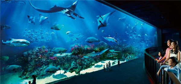 海洋科普体验展馆设计，哪些海洋馆值得去？