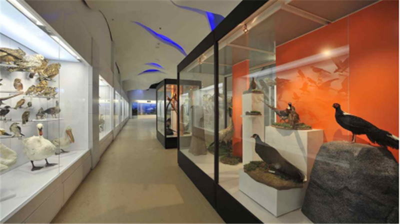 亚洲最大动物专题博物馆，你知道在哪里吗？