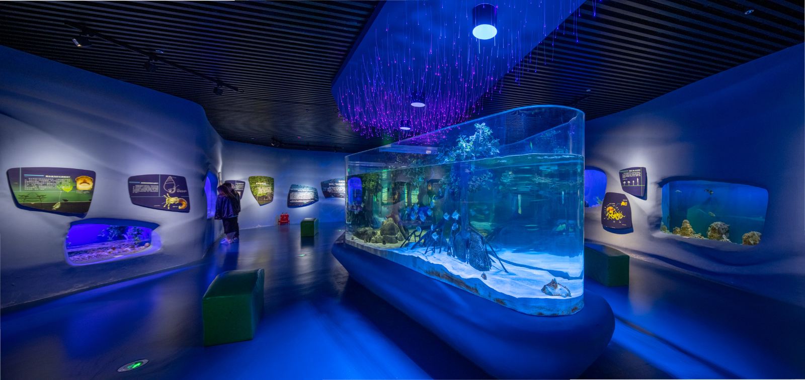 国内值得一去的博物馆，天津国家海洋博物馆